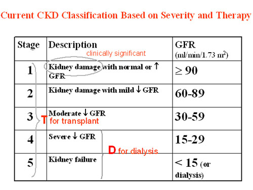 Controversies Conference on the Definition and Classification of Chronic Kidney Disease in Adults Worldwide – KDIGO